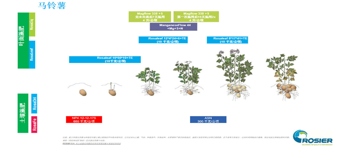 马铃薯营养套餐方案