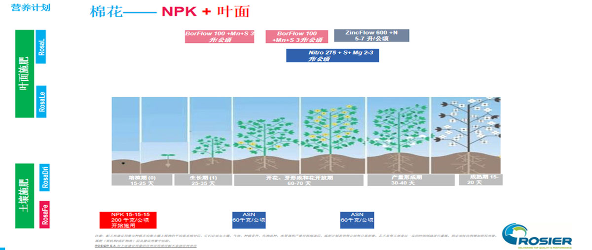 棉花营养套餐方案
