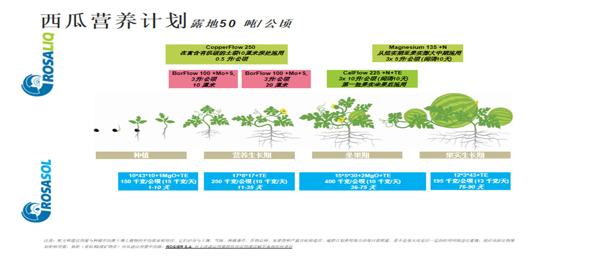 西瓜营养套餐方案